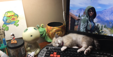 cat sleeping on gameing chair